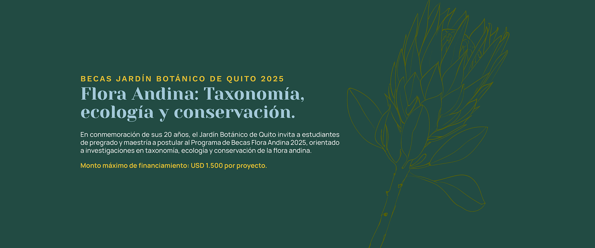 Banner-web-desktop-BECAS-JBQ-web3