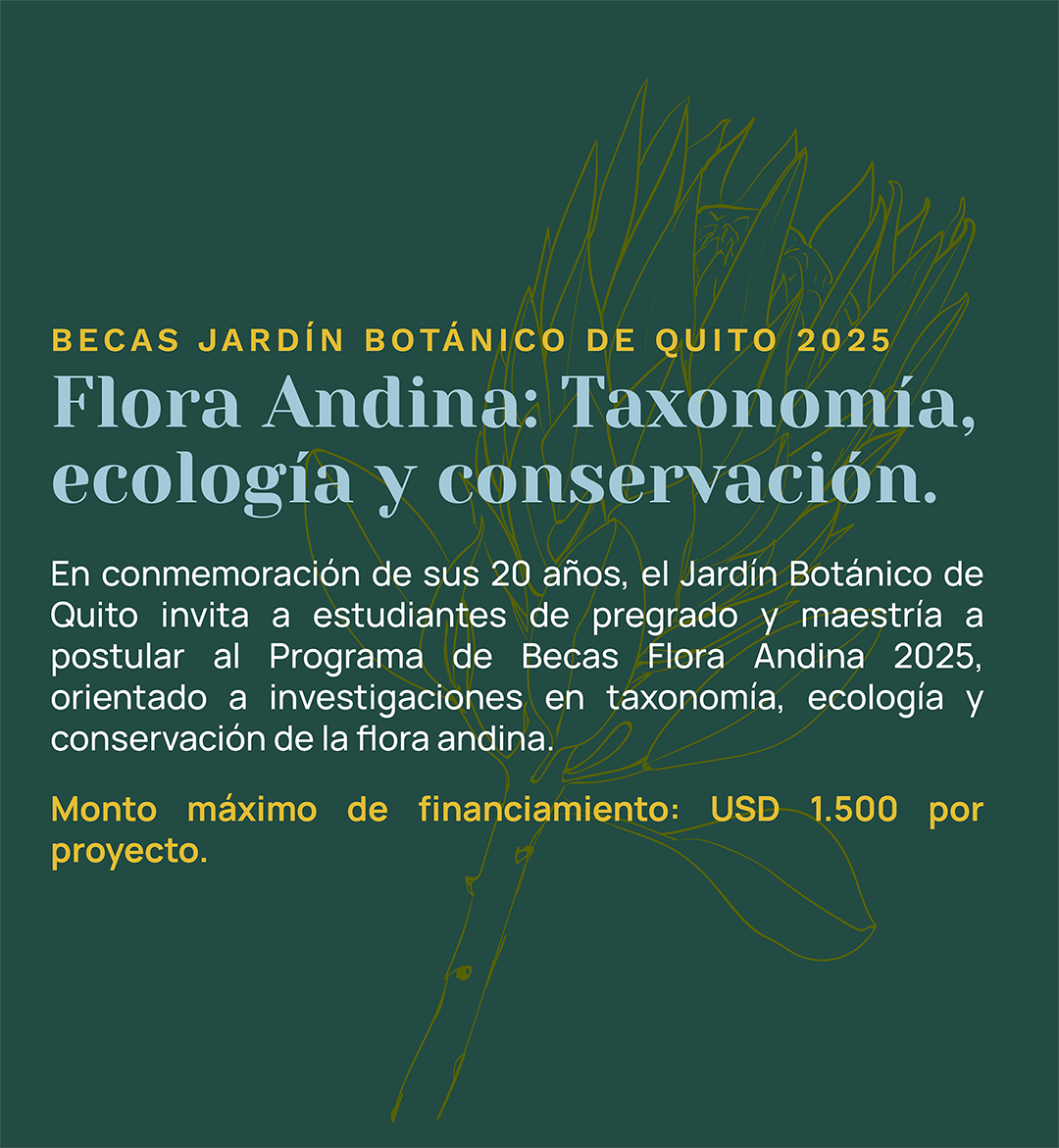 banner-web-movil–BECAS-JBQ