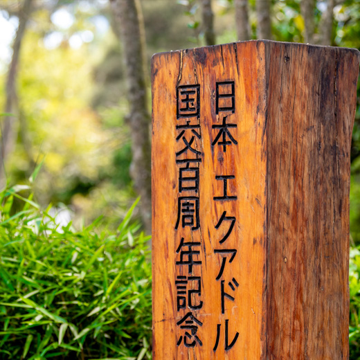 japones.jpg