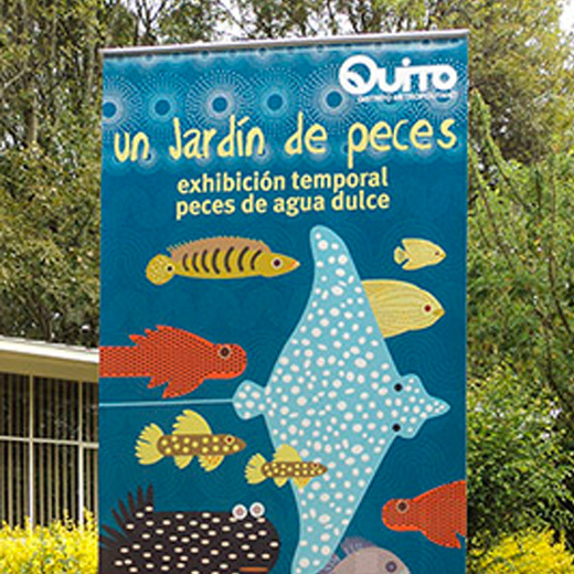 peces.jpg